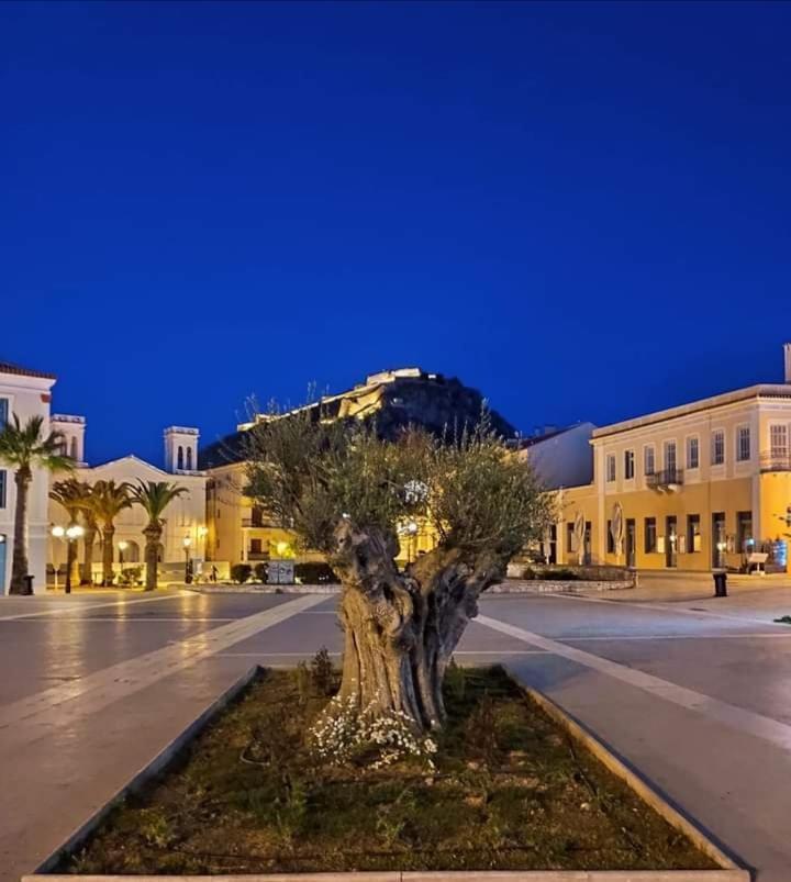 Plaza Filellinon Apartment Nafplio Luaran gambar